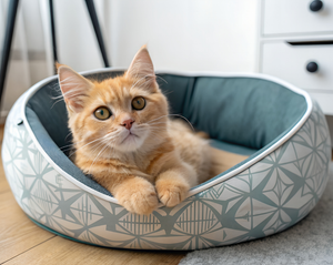 Creating Cozy Spaces with Pet Beds