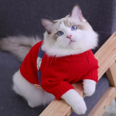Autumn And Winter Sweaters For Anti Shedding Kittens