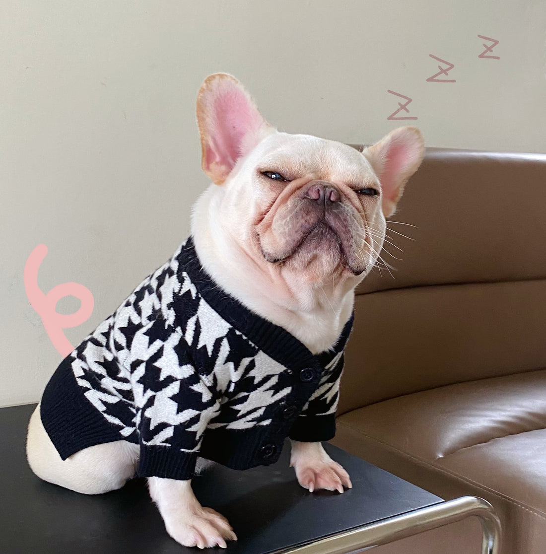 Pet Tide Brand Net Red Clothes Dog Cat