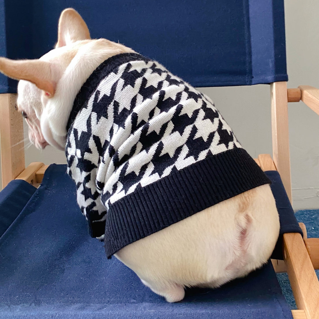 Pet Tide Brand Net Red Clothes Dog Cat