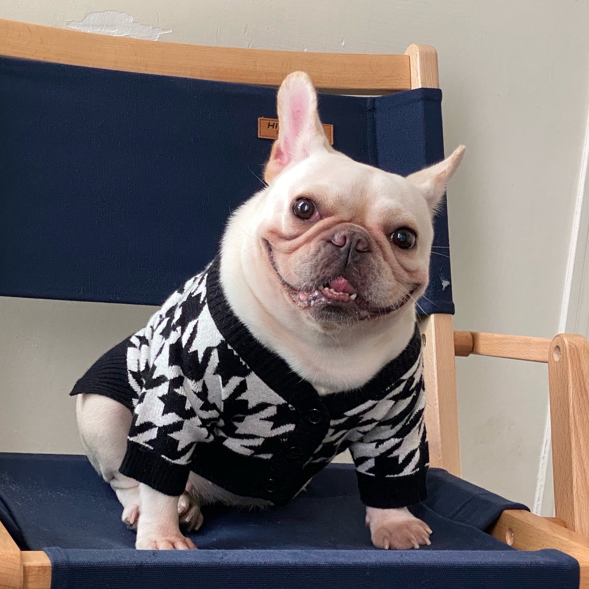 Pet Tide Brand Net Red Clothes Dog Cat