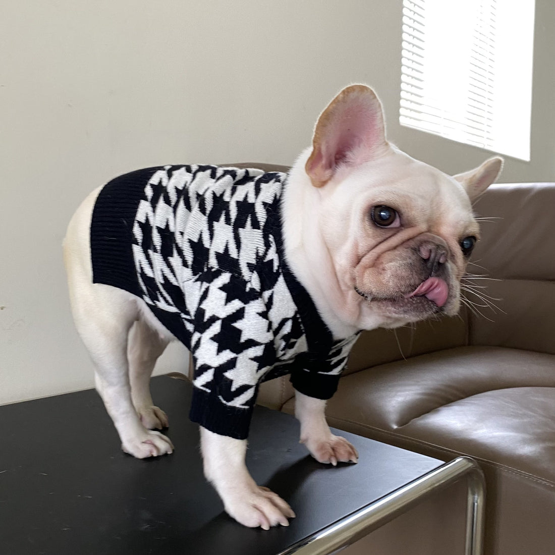 Pet Tide Brand Net Red Clothes Dog Cat