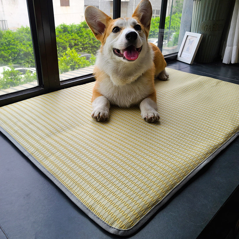 Dog  Sleeping Mat Summer Mat Anti Bite