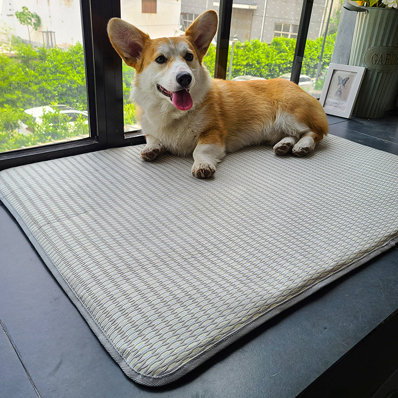 Dog  Sleeping Mat Summer Mat Anti Bite