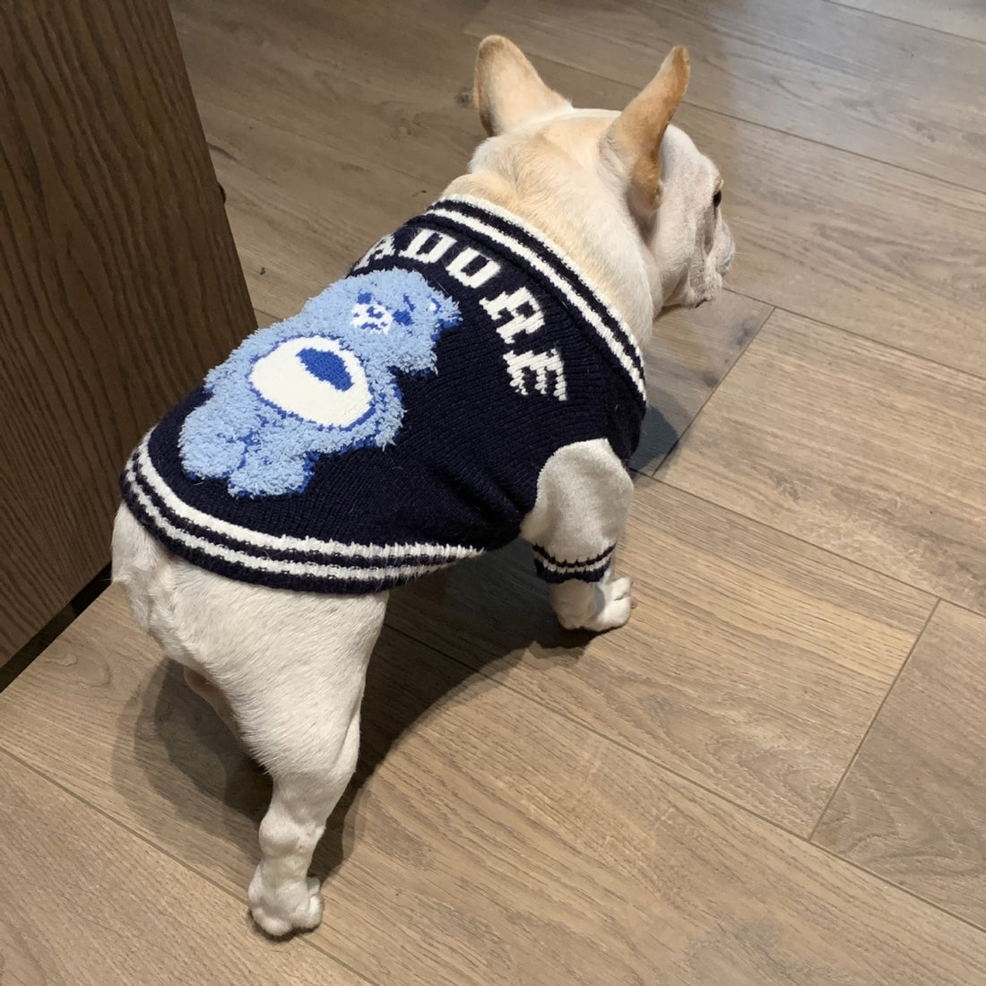 Schnauzer Kitten Rainbow Bear Pet Sweater