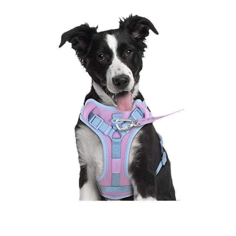 Dog Breast Strap Hand Holding Rope