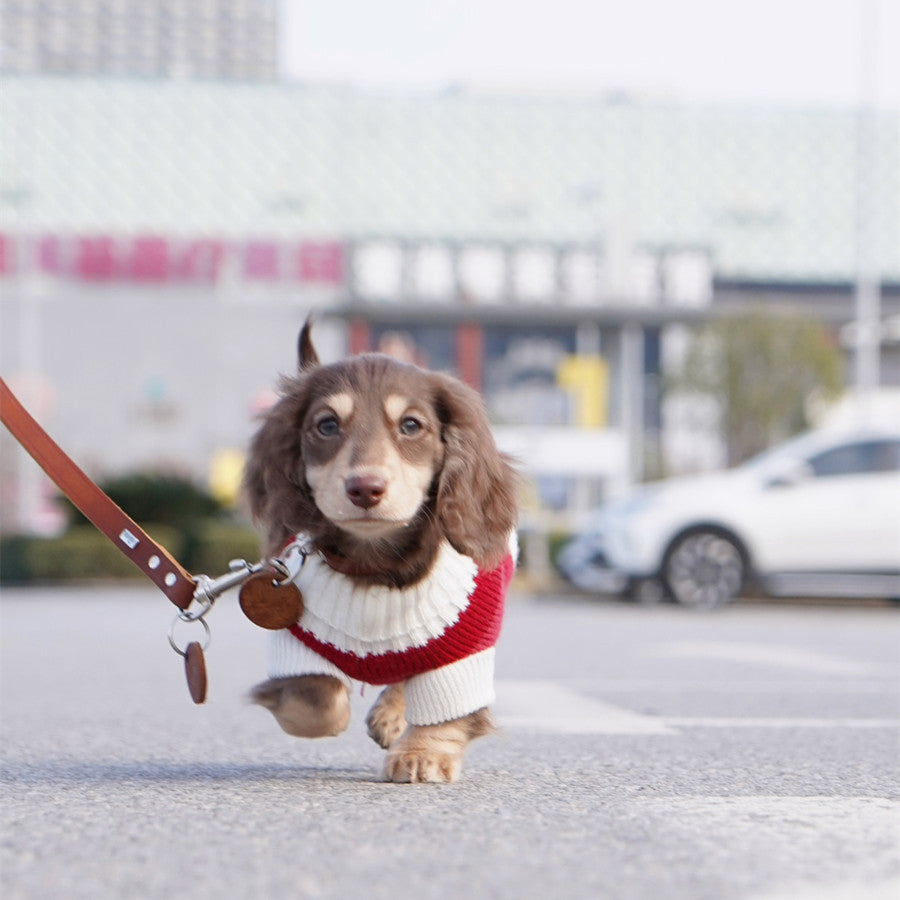 Small Dog Cat Warm Thickened Sweater