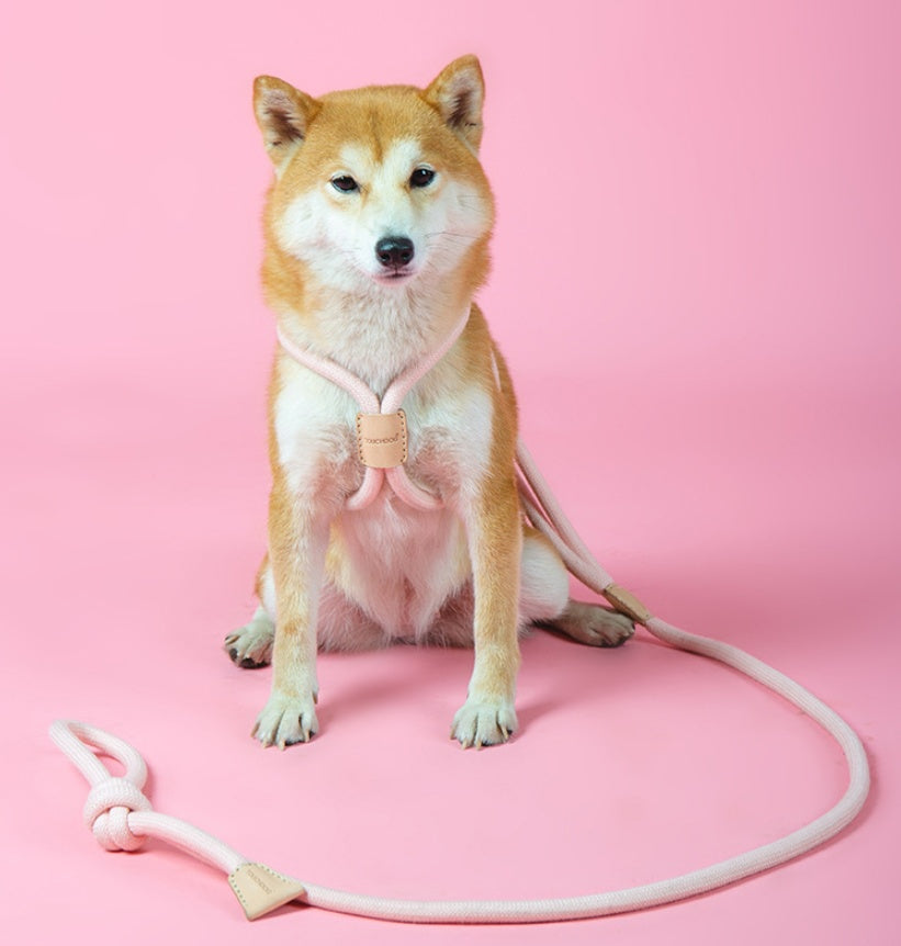 Dual-purpose Integrated Round Rope Dog Leash