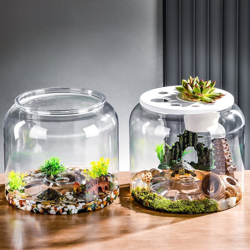Transparent Plastic  Desktop Landscaping Feeding Fish Tank