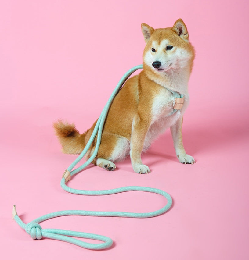 Dual-purpose Integrated Round Rope Dog Leash