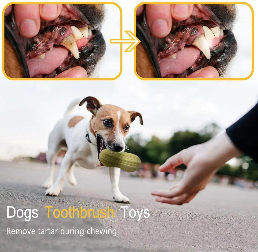 Dog Squeaky Toys For Small Middle Dogs