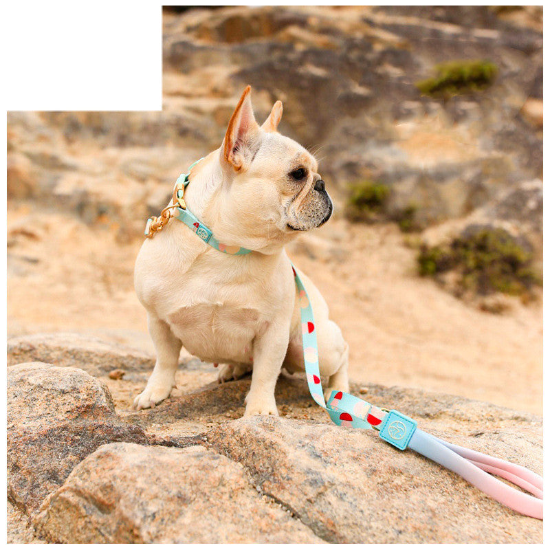 Y-shaped Chest Strap Pet Supplies Dog Leash