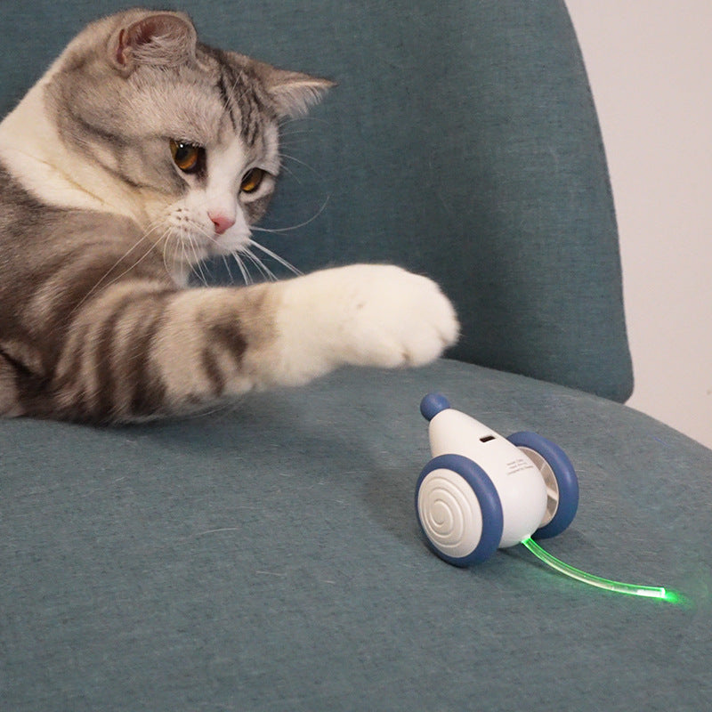 Cat Toy Boredom Artifact Automatic Intelligent