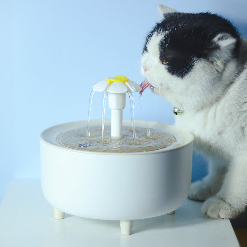 Pet Water Dispenser Automatic Loop Filtering