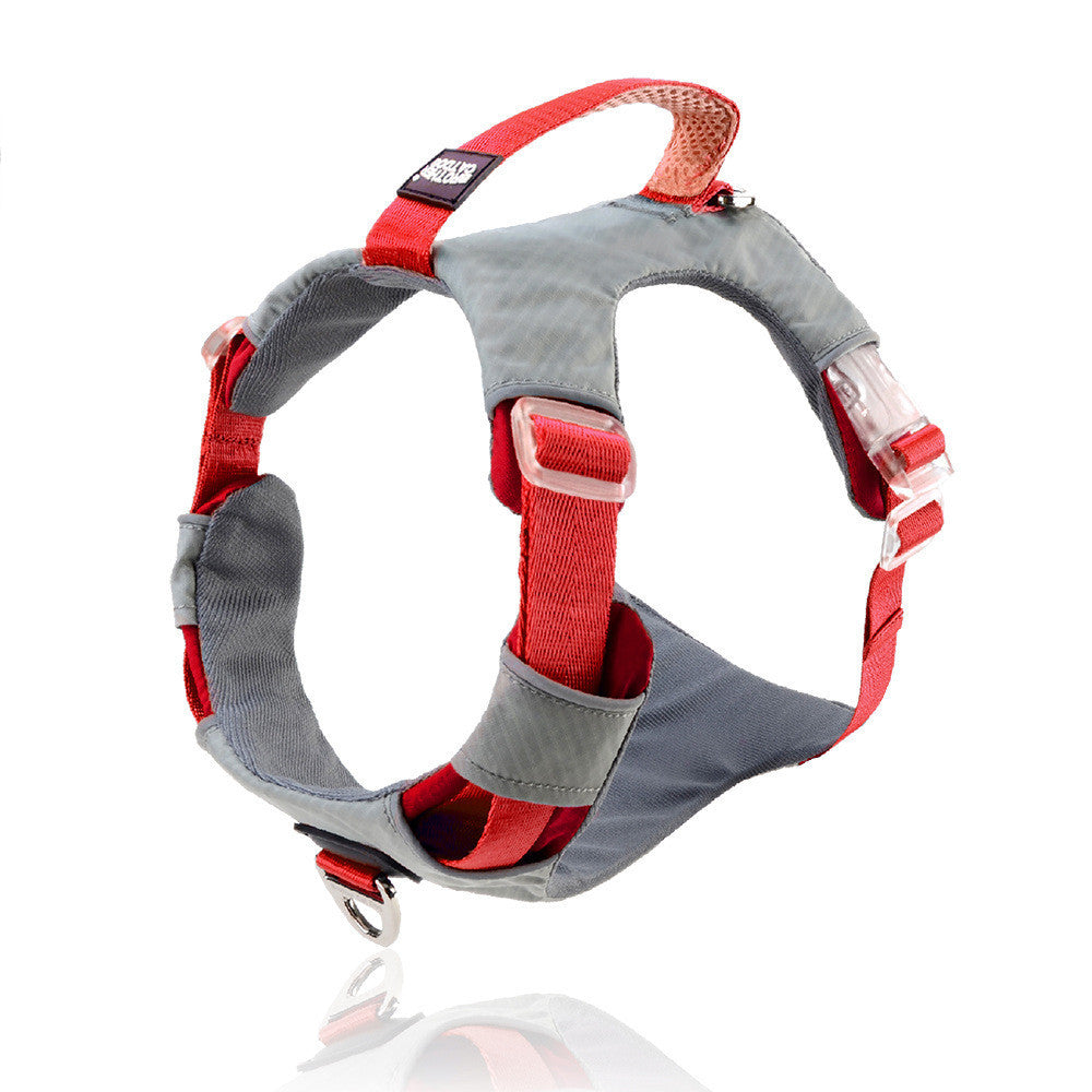 Explosion Proof Big Dog Chest Strap Cat Leash