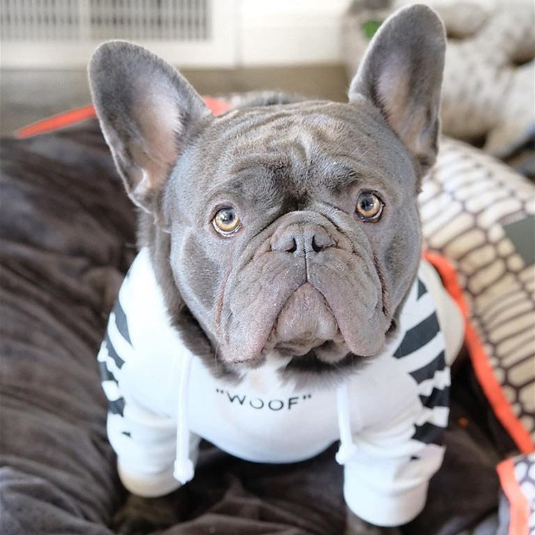 three-stripe dog sweater spoof autumn and winter sports