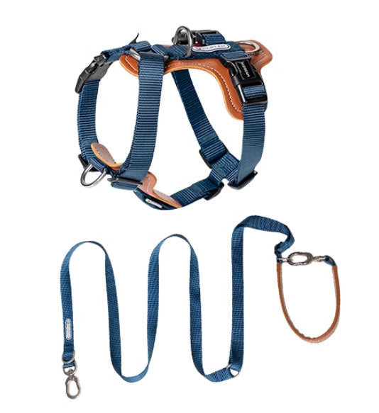 Multifunctional Explosion-proof Okinawa Dog Leash