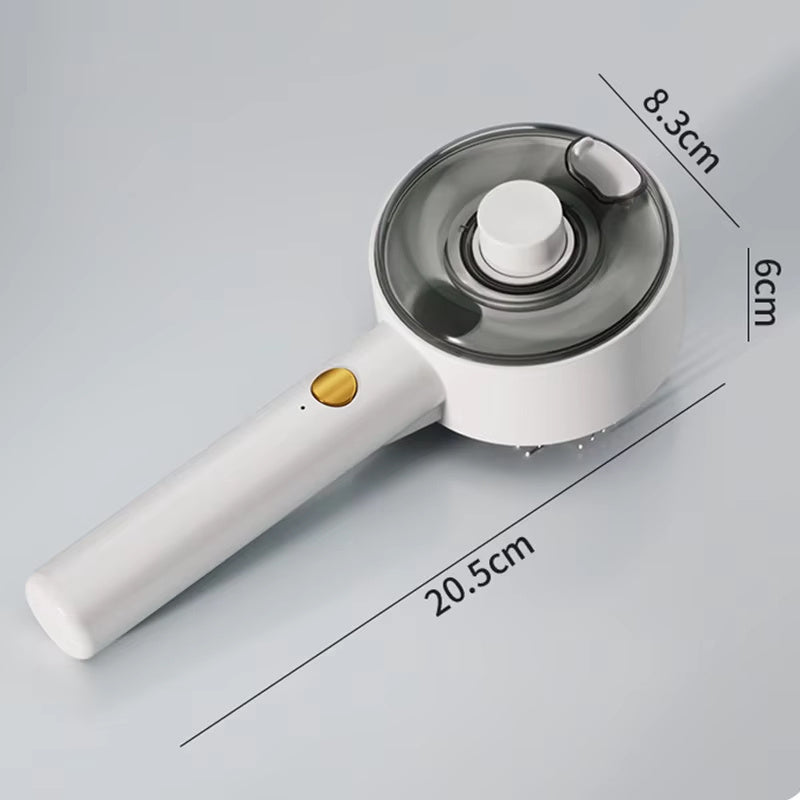 Steam Brush Electric Sprayer For Massage