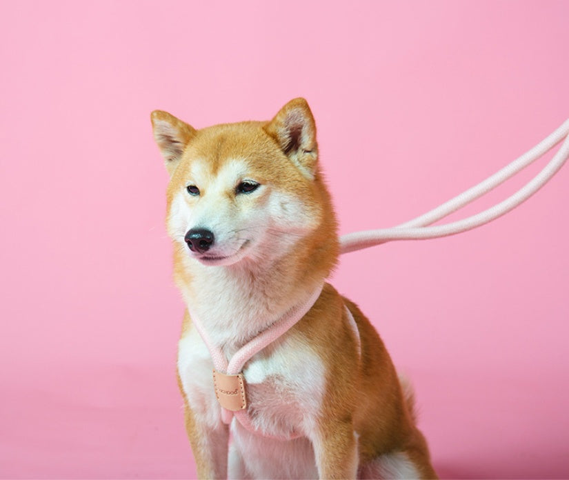 Dual-purpose Integrated Round Rope Dog Leash