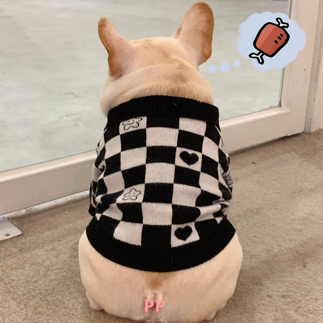 Dog Cat Fighting Schnauzer Kitten Winter Sweater