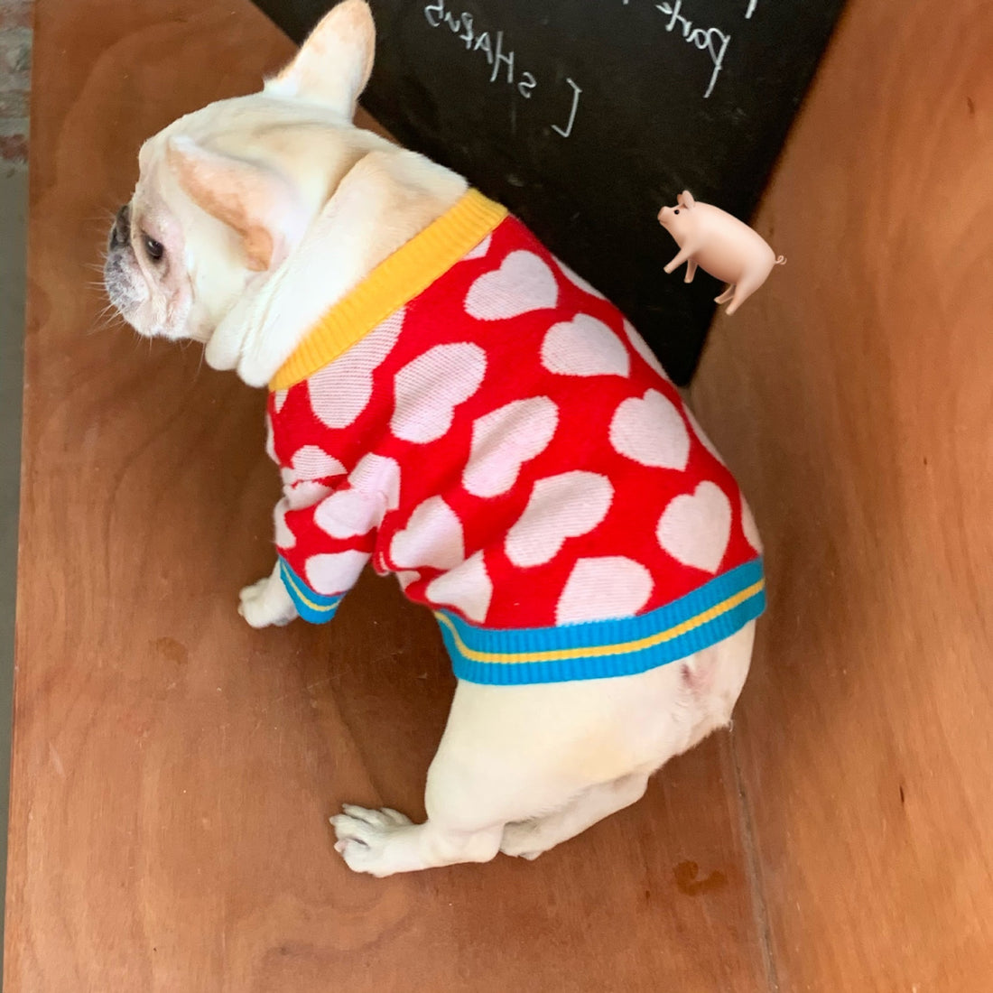 Pet Dog Clothes Autumn And Winter Warm