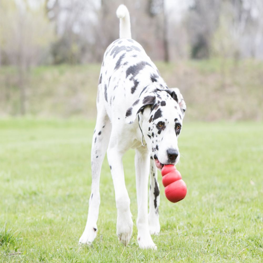 Bite-resistant Food Leakage Rubber Dog Toy