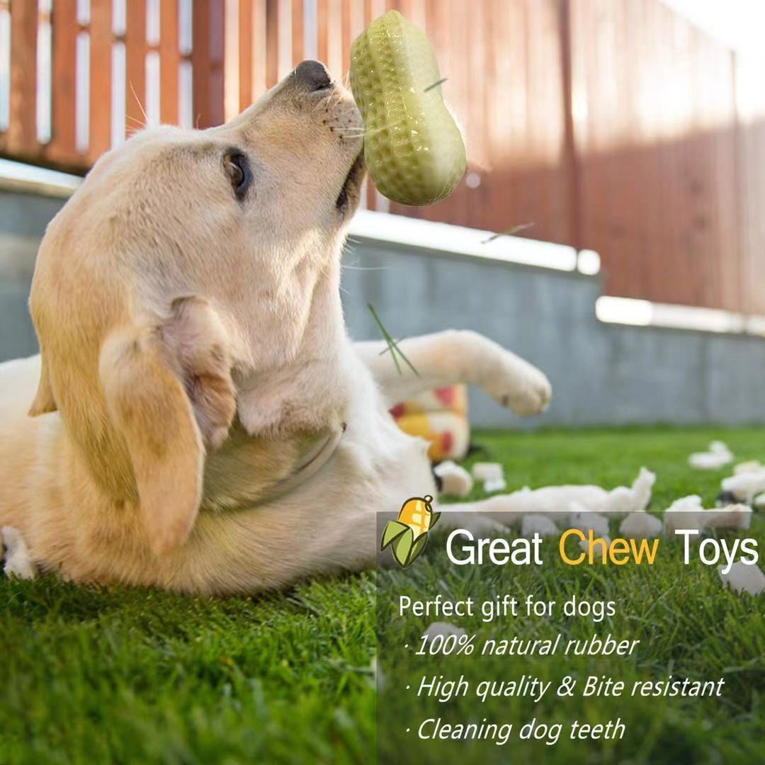 Dog Squeaky Toys For Small Middle Dogs