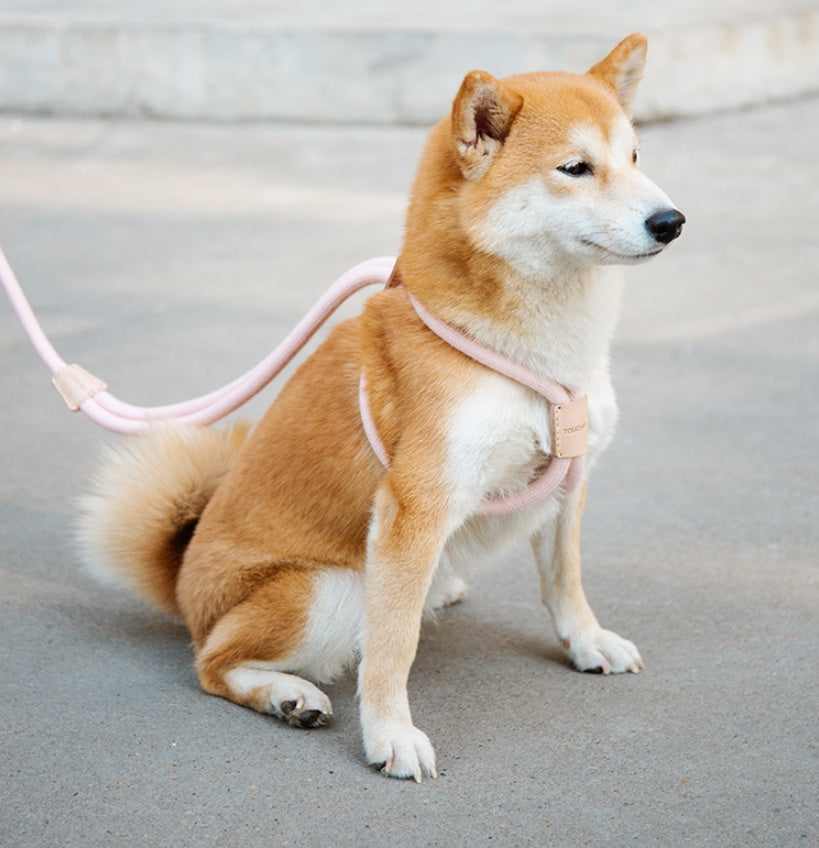 Dual-purpose Integrated Round Rope Dog Leash