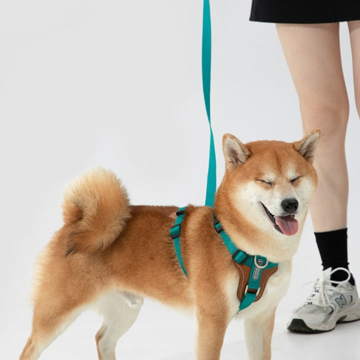 Multifunctional Explosion-proof Okinawa Dog Leash