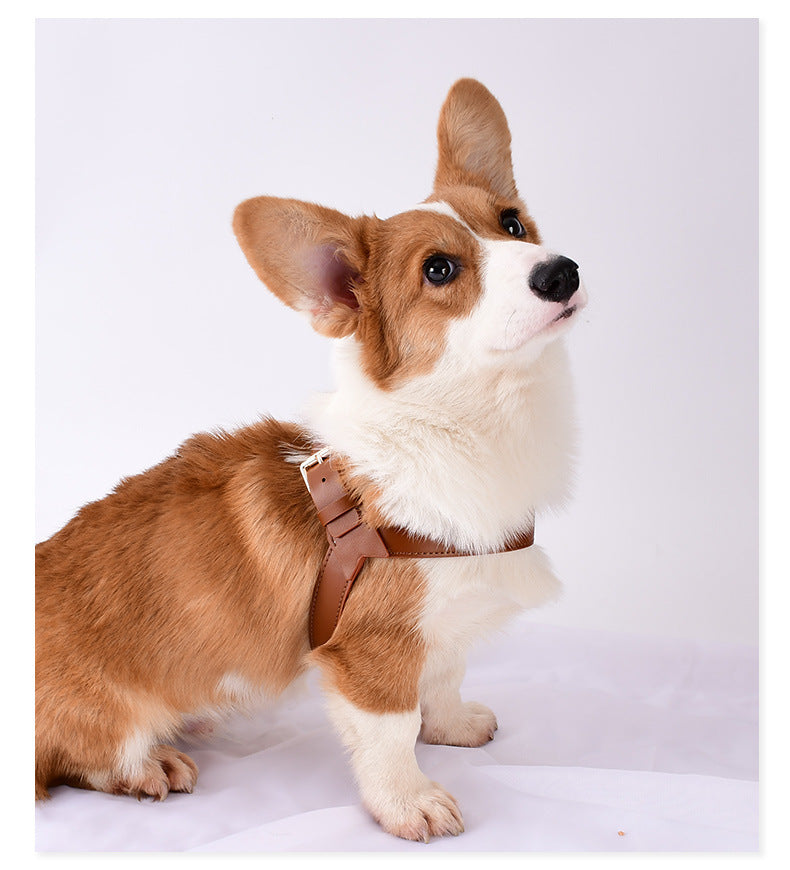 Chest Strap To Prevent Breakaway Out Of The Leash