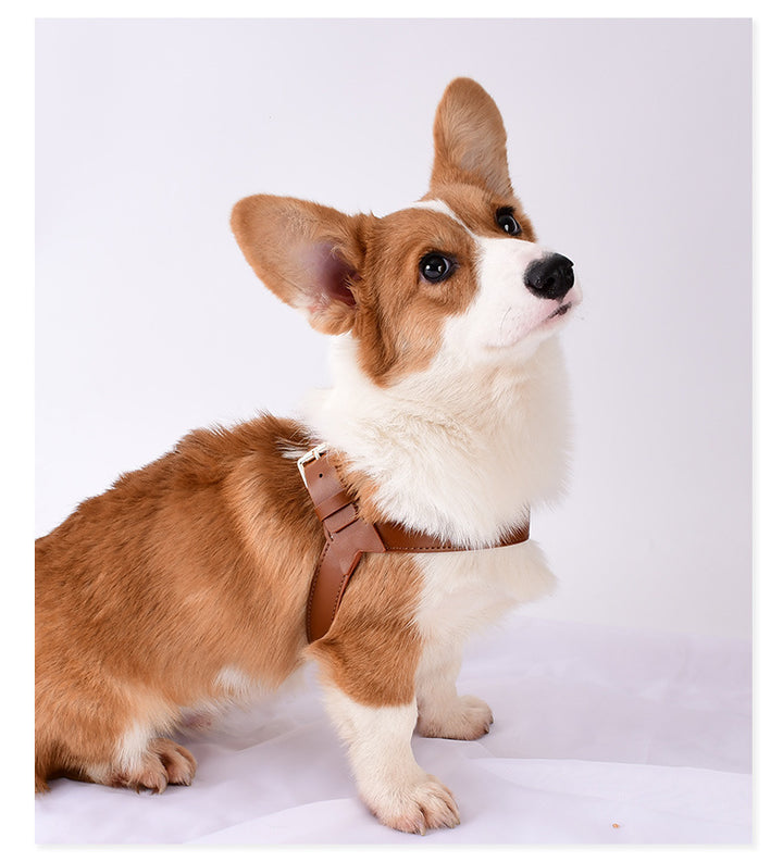 Chest Strap To Prevent Breakaway Out Of The Leash