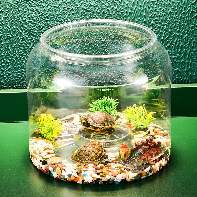 Transparent Plastic  Desktop Landscaping Feeding Fish Tank