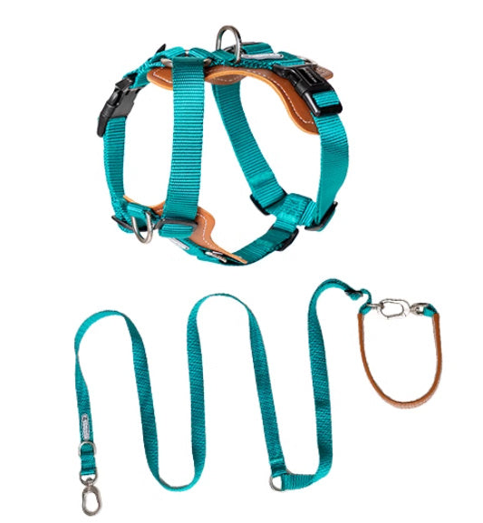 Multifunctional Explosion-proof Okinawa Dog Leash