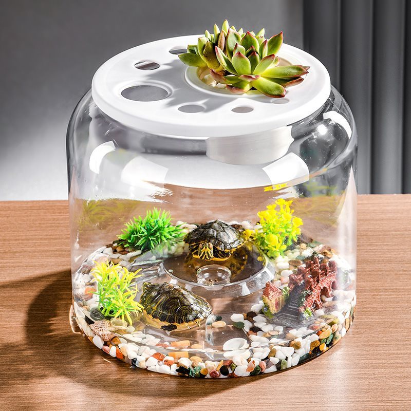 Transparent Plastic  Desktop Landscaping Feeding Fish Tank
