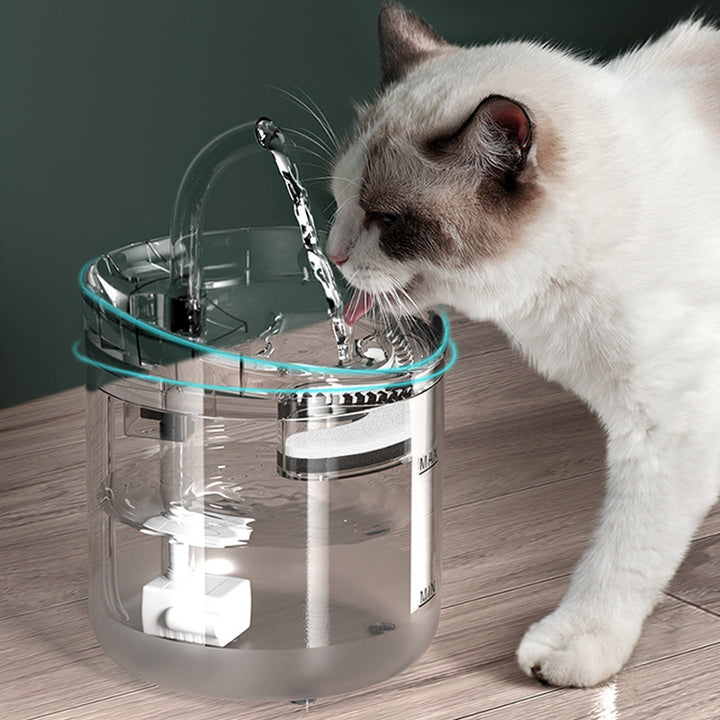 Pet Water Dispenser Automatic Circulation