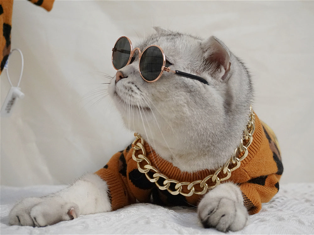 Autumn And Winter Knitted Wool Clothes For Pets