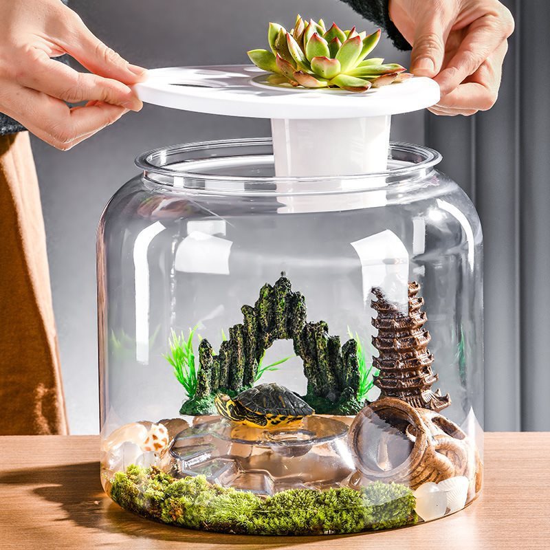 Transparent Plastic  Desktop Landscaping Feeding Fish Tank