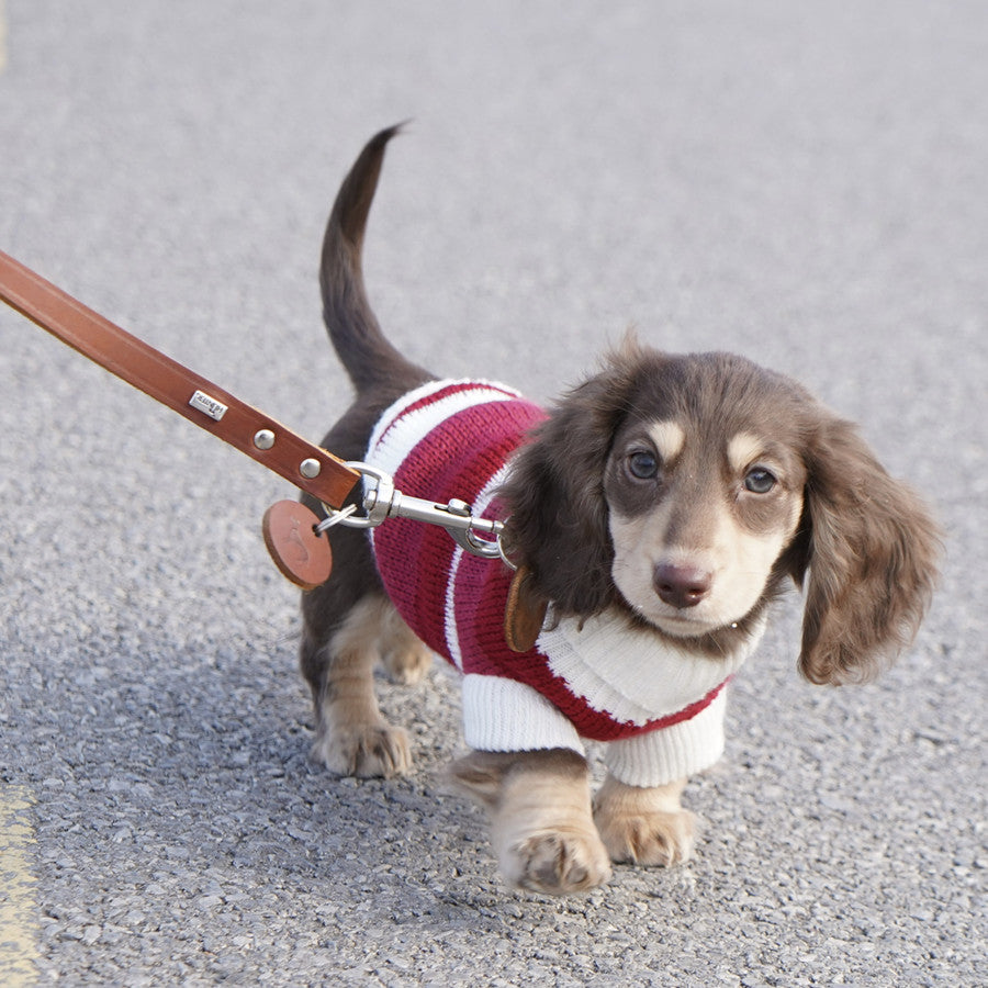 Small Dog Cat Warm Thickened Sweater
