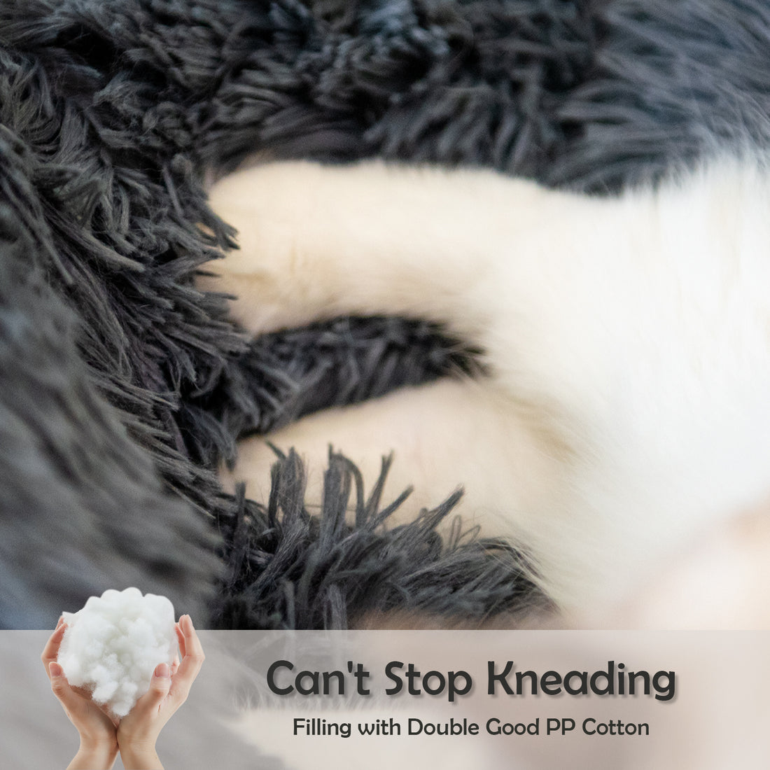 Dog Beds For Small Dogs Round Plush