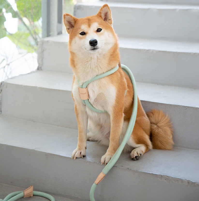 Dual-purpose Integrated Round Rope Dog Leash